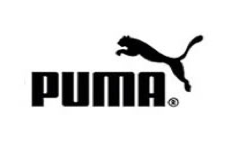 Puma devient le nouvel équipementier du Maroc - L'Équipe