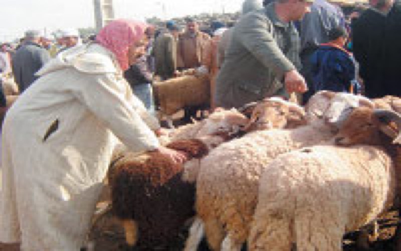 L'Aïd Al Adha fêté le 28 novembre au Maroc