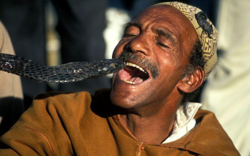 marrakech-pour-une-photo-avec-un-serpent-il-demande-450-dirhams