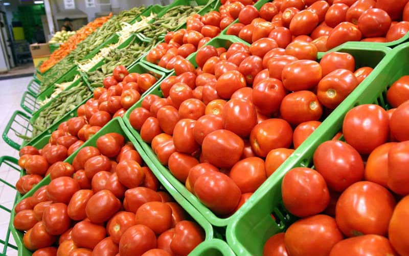 TOMATE CERISE DU MAROC, Importer Tomate Cerise du Maroc