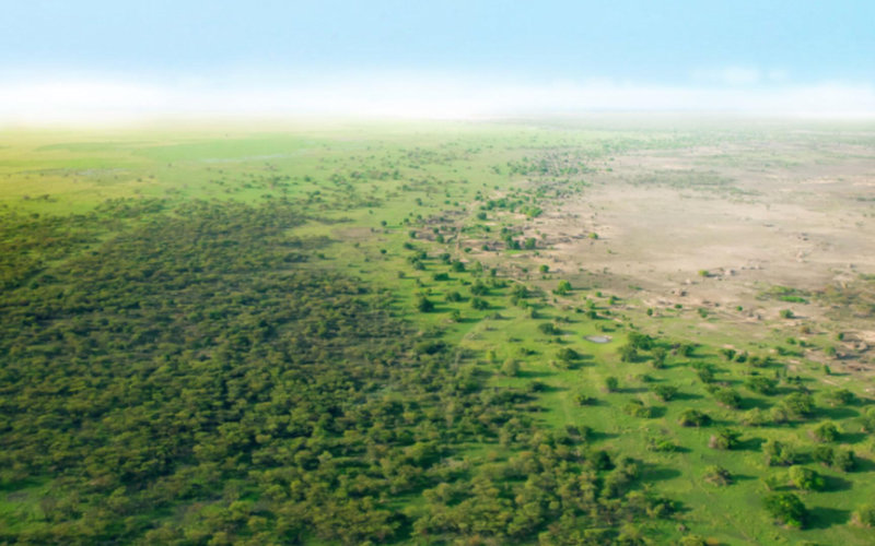 Les Mystères De L'ancien Sahara Vert Dévoilés Par Des Chercheurs