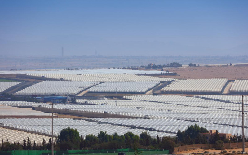 Comment Le Maroc Est Devenu Un Géant Agricole Grâce à Lespagne 6582